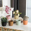 Succulent Plant Flower Pot Office Home Decoration Plant Succulent Planter Pot P62 Factory Custom Nordic Modern Box