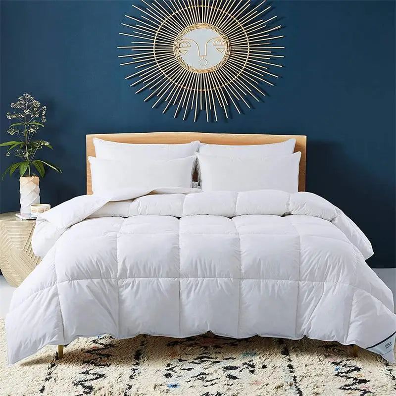 Hotel & Home Printed All-Season Comforter Duvet Insert with Down Alternative Filling Reversible Soft Eco-Friendly