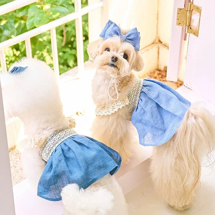 Pet Clothing cat and Dog Thin Denim Skirt+bow Tie