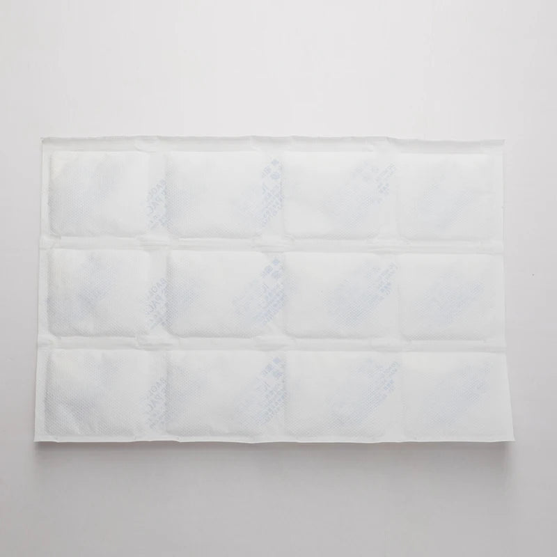 BAOLUN Freezer Pack Food Grade Dry Ice Pack Bags Storage Freezer Dry Ice Pack Sheet