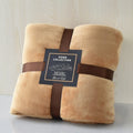 Foreign Trade Autumn and Winter Flannel Thickened Small Blanket Coral Fleece Cover Blanket Flannel Bed Sheet Gift Wholesale