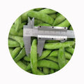 Bulk Wholesale Distribute IQF Frozen Sugar Snap Peas