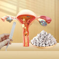 Wholesale Herbal Yoni Clean Detox Pearls Yoni Detox Pearls Vaginal Clean Pills