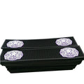 Guangdong Supplier Custom Logo Rubber PVC Bar with Box Packing