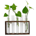 Vintage Wood Wall Mounted Hanging Planter 5 Glass Vase with Stand and Test Tube Home Decoration Flower Pot & Planters