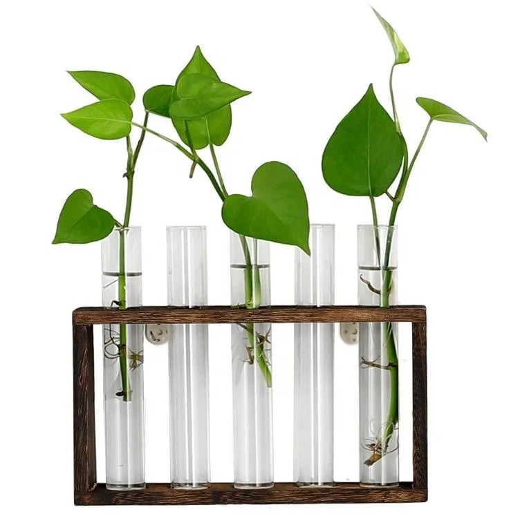 Vintage Wood Wall Mounted Hanging Planter 5 Glass Vase with Stand and Test Tube Home Decoration Flower Pot & Planters
