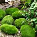 O-X584 Wholesale Landscaping Moss Rocks Garden Decoration Green Artificial Moss Grass Stone