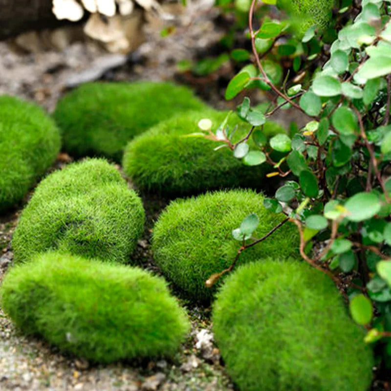 O-X584 Wholesale Landscaping Moss Rocks Garden Decoration Green Artificial Moss Grass Stone
