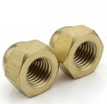 1/4-20 Brass Cap Nuts Decorative Nut Domed Cap Nuts