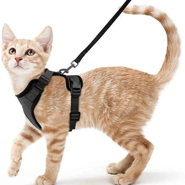 Pet Supplies Puppy Cat Harness Leash Set Outdoor Breathable Cat Harness Vest With Leashes Small Dogs Cat Harness Set