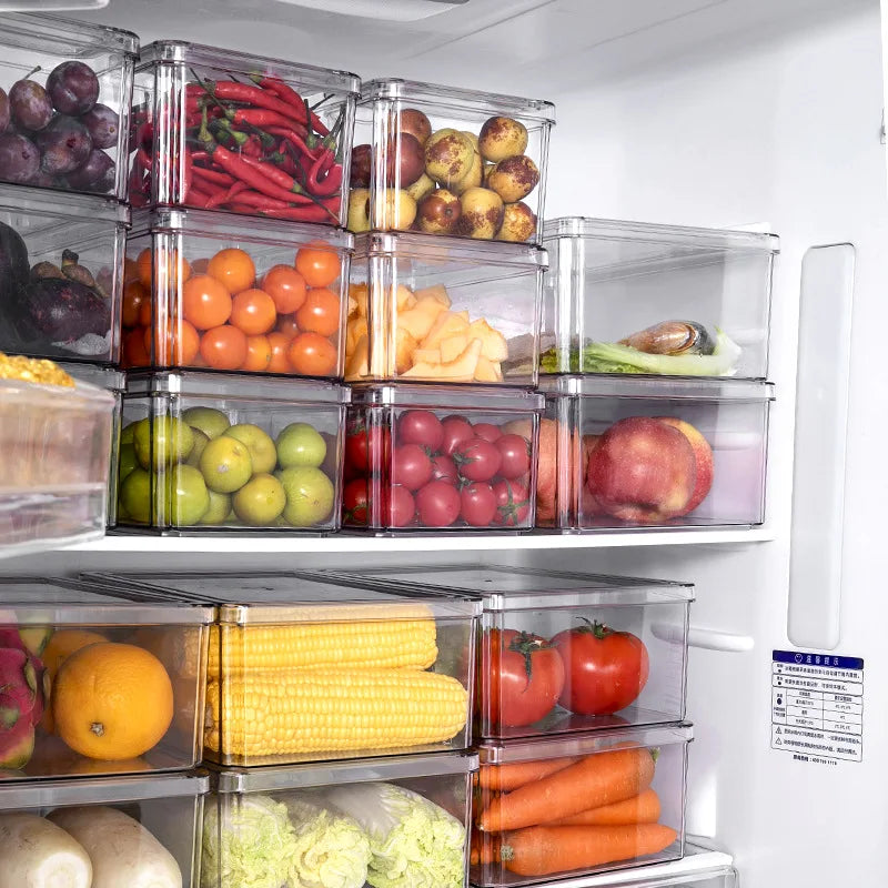 Home Use Refrigerator Kitchen Plastic Containers Vegetables Fruits and Seafood Storage Container for Food