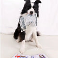 Eco-Friendly Sailcloth Crinkle Toy for Dogs-Keep Your Pet Entertained Pet Sound Toy
