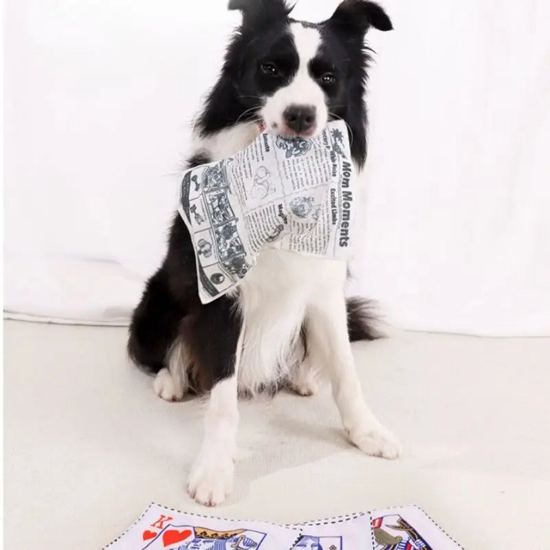 Eco-Friendly Sailcloth Crinkle Toy for Dogs-Keep Your Pet Entertained Pet Sound Toy