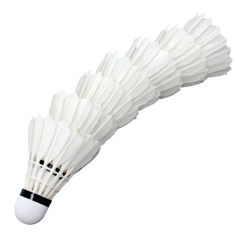 Portable Easy Setup Professional Standard Badminton Net with Training Outdoor Sports