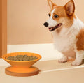 Wholesale Luxury Portable Silicone Dog Bowls Foldable Elevated Custom Small Size Modern for Indoor Pet Food Water Storage Slow