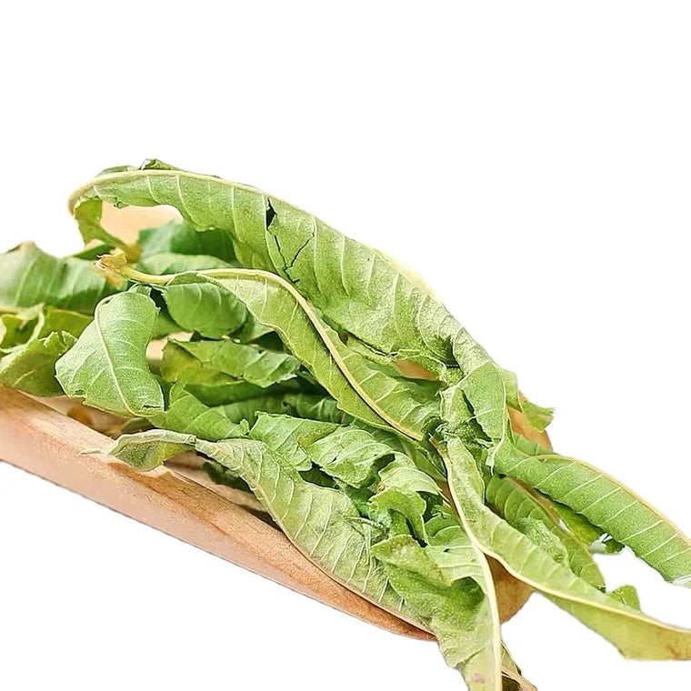 Ma Bian Cao Natural Dried Chinese Herb Lemon Verbena Loose Leaf Tea