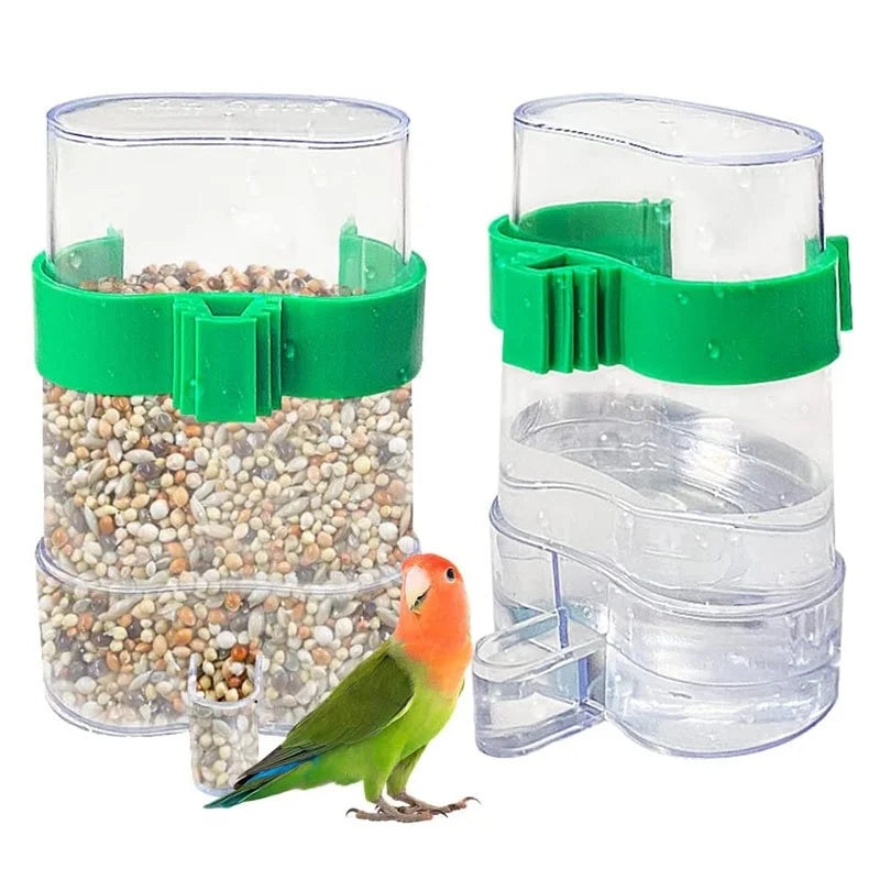 Eco-Friendly Automatic Water Dispenser Rounded Solid Plastic Birds Pigeon Parrot Feeder Quail Bird Food Box