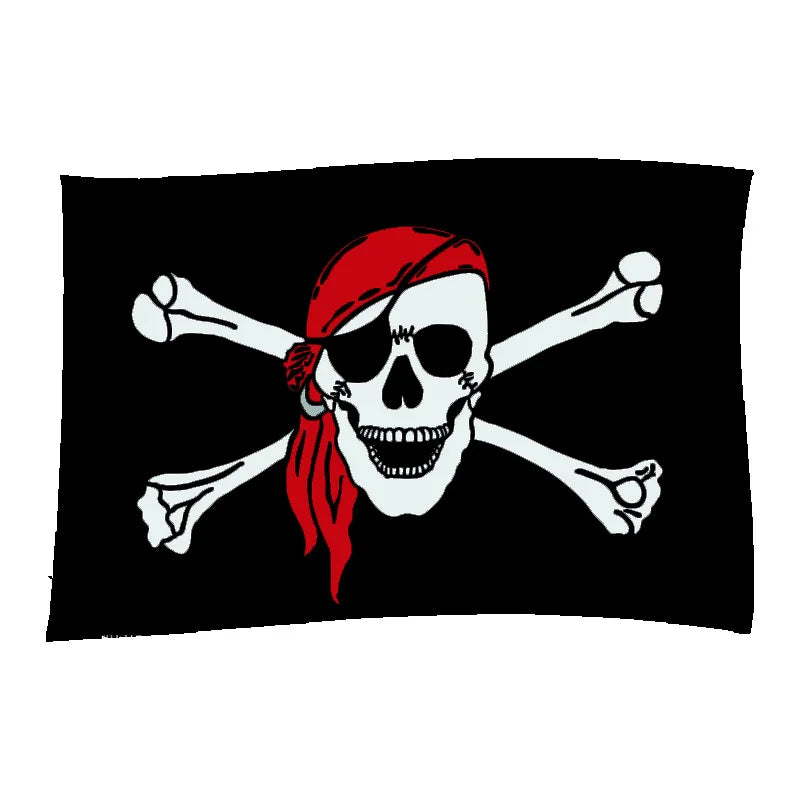 China Factory Wholesale Digital Printing Promotion 3*5Ft 90*150cm Flag Custom Pirate Flags Banners