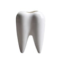 Wholesale Tooth Shape Planter Pot Desk Organizer Decoration Creative Pen Pencil Brush Holder Pot for Home Decor
