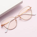 2023 Bicolourable Metal Spring Hinge Cateye Eyeglasses Frames Blue Light Anteojos Mens Glasses PC Material Cartoon for Men Women