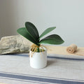 H0773 Hot Sale Real Touch Leaves Artificial Plant EVA Orchid Flower Phalaenopsis Leaves Artificial Butterfly Orchid Leaves