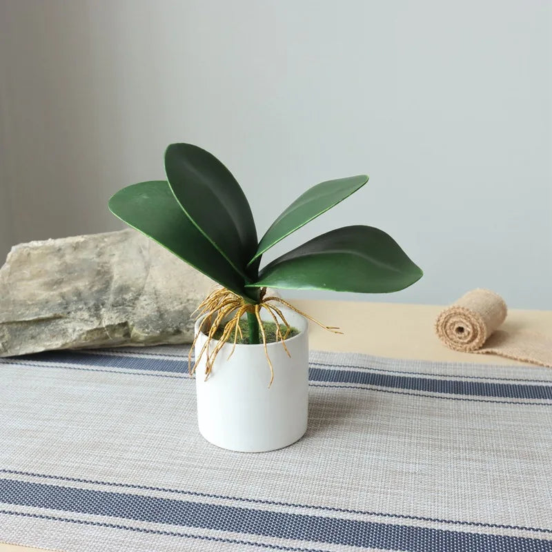 H0773 Hot Sale Real Touch Leaves Artificial Plant EVA Orchid Flower Phalaenopsis Leaves Artificial Butterfly Orchid Leaves