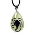 Men's Black Scorpion Necklace Taxidermy Insect Pendant Jewelry Luminous Amber Cool Glow in the Dark Genuine Bug Scorpio Necklace