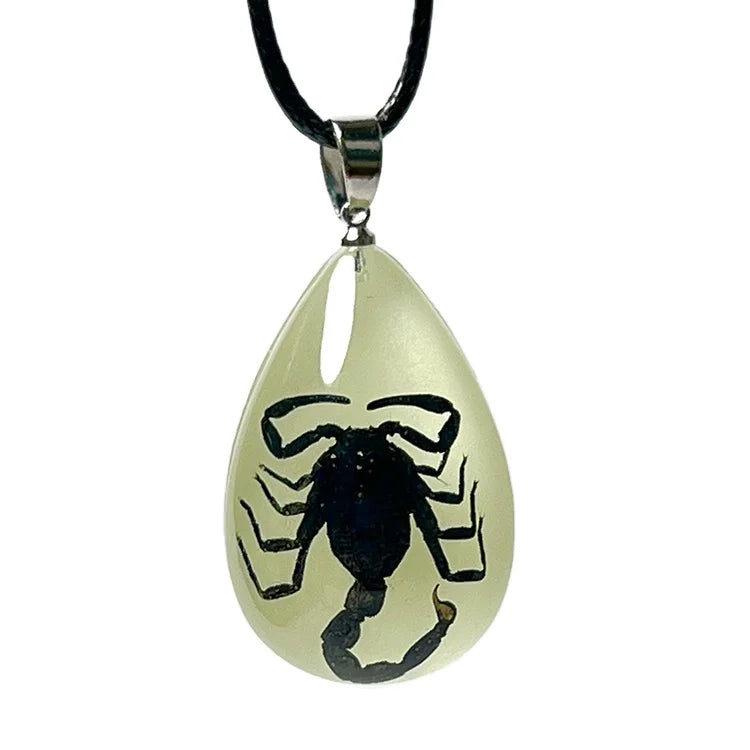 Men's Black Scorpion Necklace Taxidermy Insect Pendant Jewelry Luminous Amber Cool Glow in the Dark Genuine Bug Scorpio Necklace
