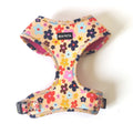 Pet Supplies Custom Design Neoprene Dog Harness and Leash Set Personalised Dog Harness Dog Accessories Supplier
