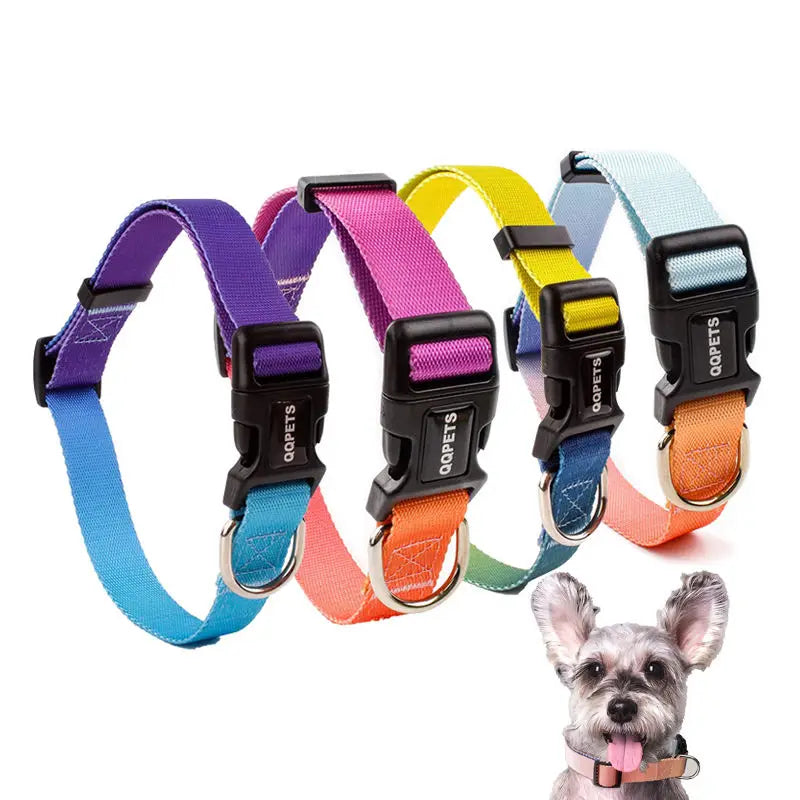 Eco-Friendly Recycled Pet Accessories Luxury Classic Dog Collars Breakaway Anti-Bark Rope Wholesale Made Durable Polyester Nylon