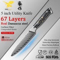 KEENHOPE Professional Japanese 5 Inch Damascus Steel Chef Knife 67 Layers VG10 Sharp Utility Kitchen Knife Carbon Fiber Handle MegaBDM
