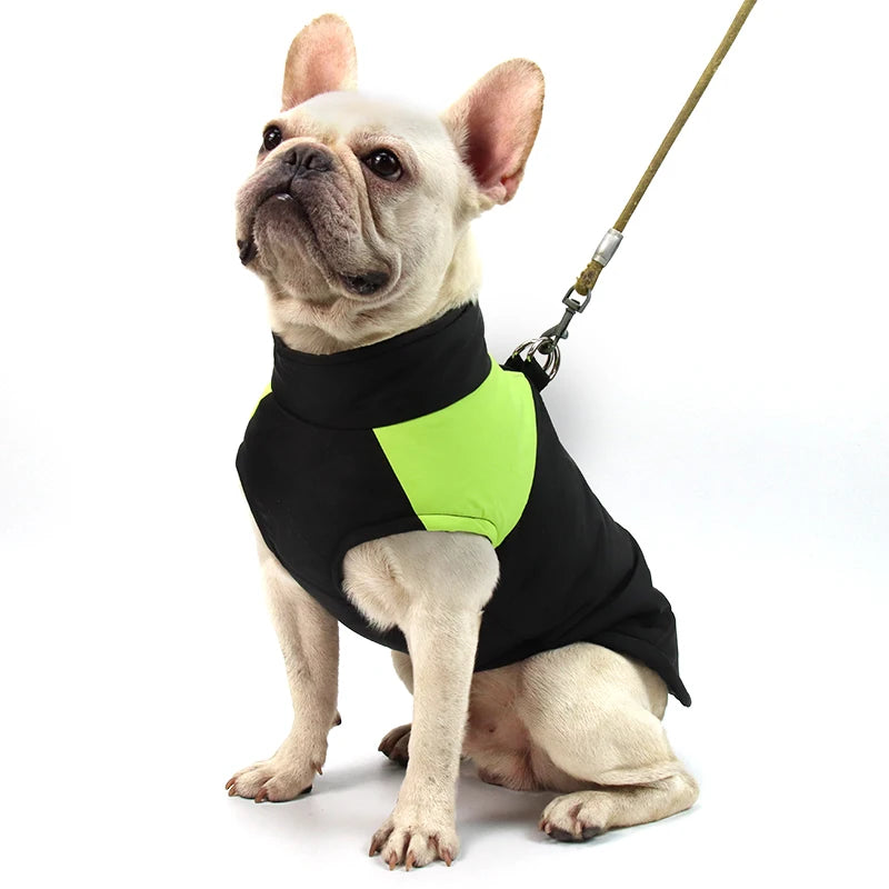 Pet Accessories Winter Pet Clothing Waterproof Dog Clothes Solid Dog Jackets Pet Apparel Dog Accessories