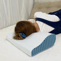 Non-Toxic Pain Relief Bedroom Pillows Sleeping Super Soft Comfortable Long Memory Foam Pillow for Bed