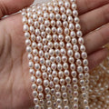 High Quality 4-5mm 5-6mm Rice Shape Freshwater Pearl Bead Necklace Strand Loose Bead for Diy Making Jewelry Bracelet Necklace