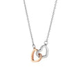 Zircon Double Heart Diamond Necklace for Couple Lover Silver Rose Gold Plating Necklace Couple Hugging Pendant Necklace