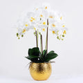 B0416 Faux Office Orchid Bonsai Pots Plant Pots Flower Vanda Orchids Plants for Home Decoration