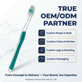 Soft Toothbrush Oem China Factory ISO Certificates  Good Quality Colorful Tip PBT Bristles Adult Toothbrush Custom Packaging