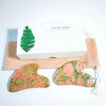 2026 Beauty Facial Massager Unakite Guasha Stone Jade Roller for Face Facial Lifting Massager