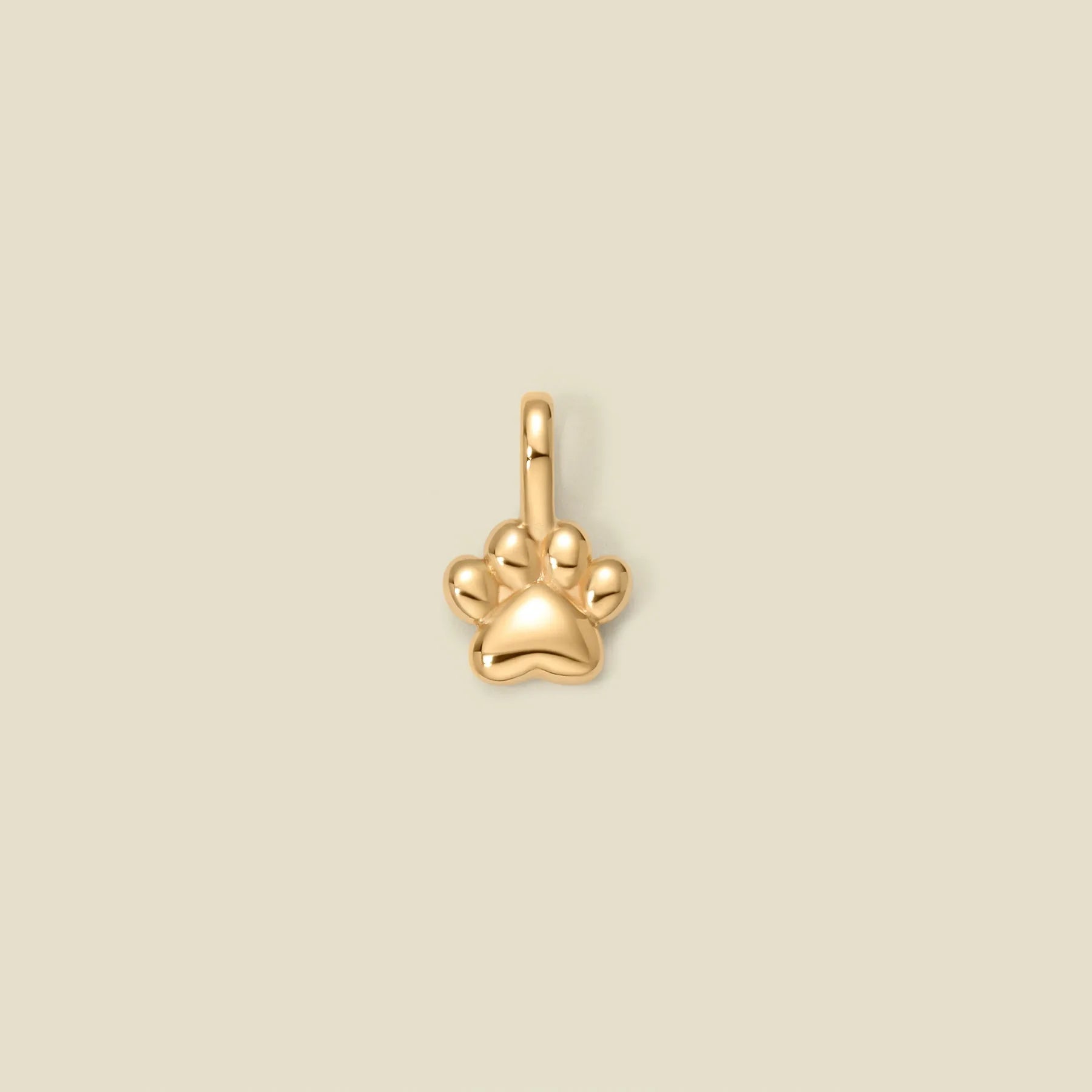 SC New Style Trendy Copper Jewelry Accessory Lovely Geometric Gold Pendants Cute Fish Bone Paw Charm for Pet