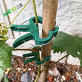 Plant Climbing Vine Grafting Fixed Clip Gardening Clip Tied Vine  Loofah Tomato Clip