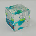 Custom Clear Resin Eco-Friendly Cube Stomach Paperweight Business Gift Model