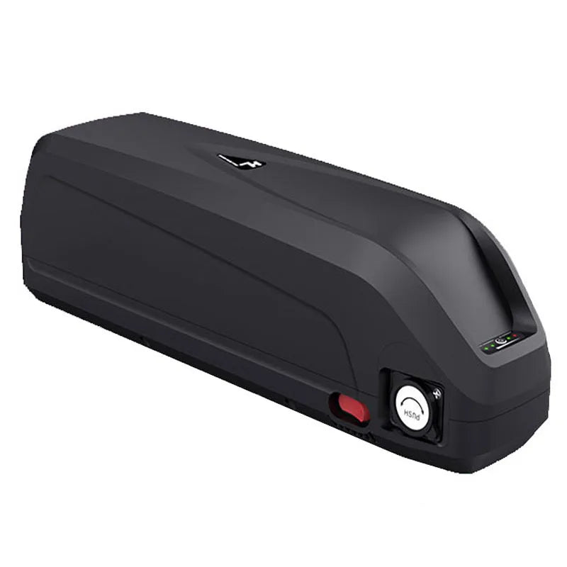 High Capacity 48V 20Ah Hailong Ebike Battery with USB Down Tube Lithium Battery for 1000W Electric Mountain Bicycle