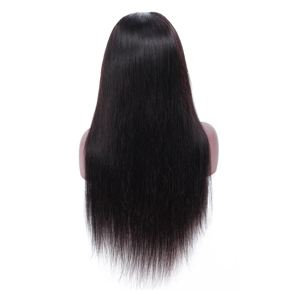 Virgin Cuticle Aligned Vietenam Human Hair Straight HD Lace Wig Transparent Lace Glueless 13*6 HD Lace Frontal Wig Vietenamese