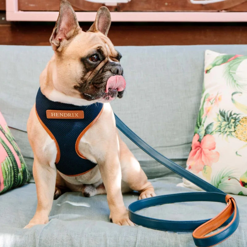 No Pull Dog Harness Mesh Fabric Pet Puppy Small Dog Harness Modern Custom Cat Dog Collar Harness