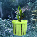 Aquarium Aquatic Plant Pot Holder with Hole Plastic Aquarium Planter Cups for Emersed Plants Aquascape Decorations