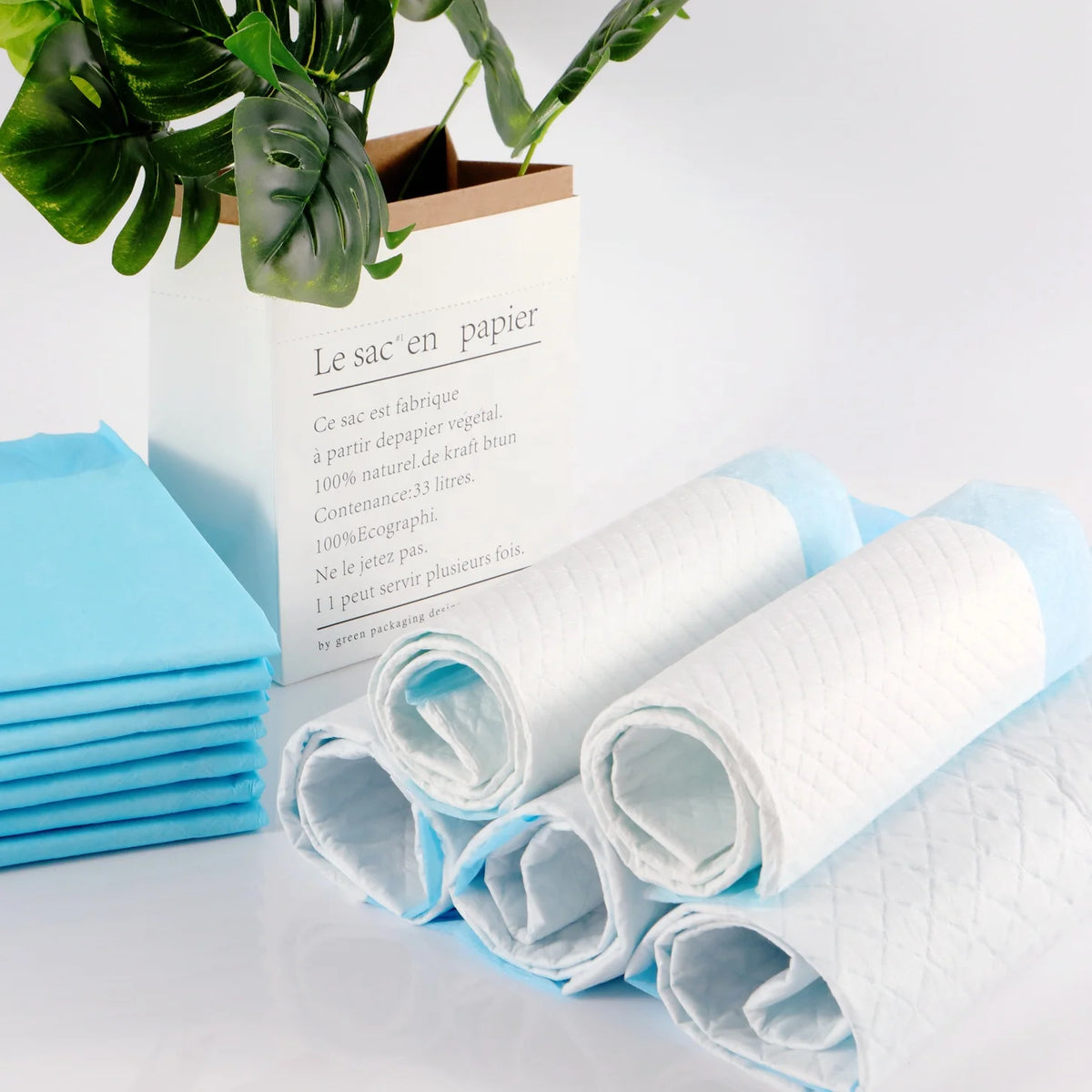 Austria and Switzerland Pet Training Pads Puppy Pee Pads 6060 Indoor Potty Pads for Small Dogs Cats Rabbits