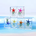 Resin Seashell Starfish Specimen Beach Scene Paperweight Collectible Figurine with Ocean Elements Handcrafts for Home Decor