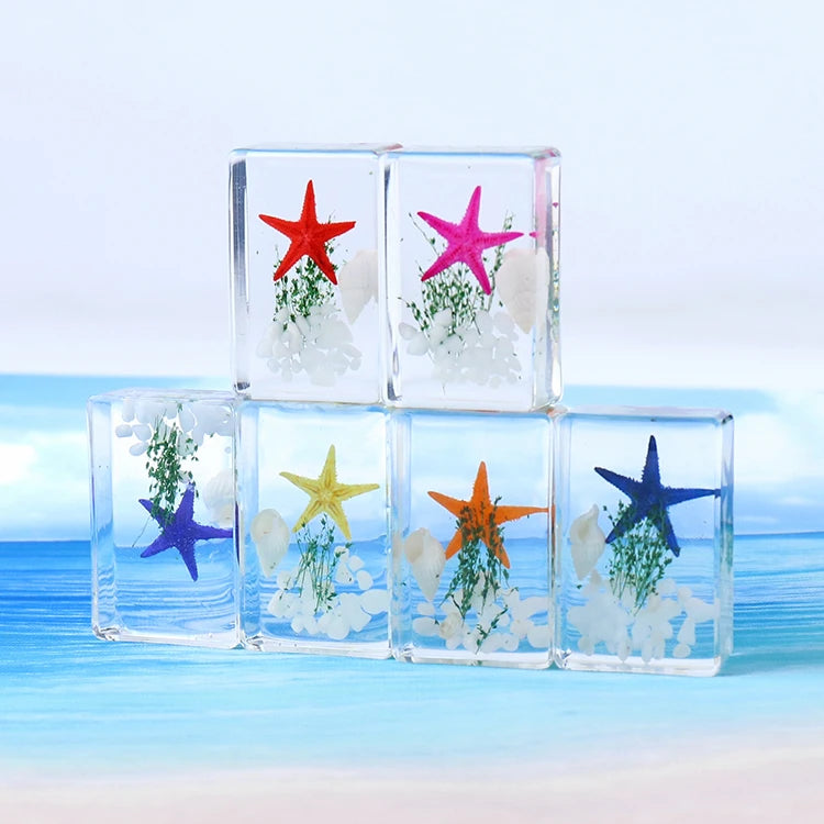 Resin Seashell Starfish Specimen Beach Scene Paperweight Collectible Figurine with Ocean Elements Handcrafts for Home Decor