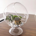 Contemporary Handmade Globe Shape Vase Glass Tabletop Terrarium with Base for Succulent Air Plant Moss Tabletop Decoration
