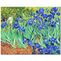 Digital Oil Art Painting Kits Hand-Painted by Numbers Acrylic for Home Decorations Subjects Include Still Life and Landscape